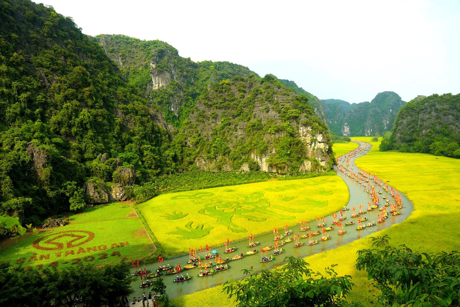 “Sắc vàng Tam Cốc - Tràng An” quảng bá mạnh mẽ du lịch Ninh Bình -0