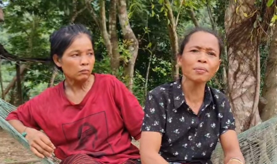 Quảng Bình: Xác minh và tìm kiếm dấu hiệu của hổ trong rừng Trường Sơn -0