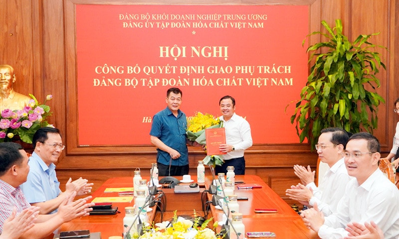 Ông Phùng Quang Hiệp được giao phụ trách Đảng bộ Tập đoàn Hóa chất Việt Nam ảnh 3