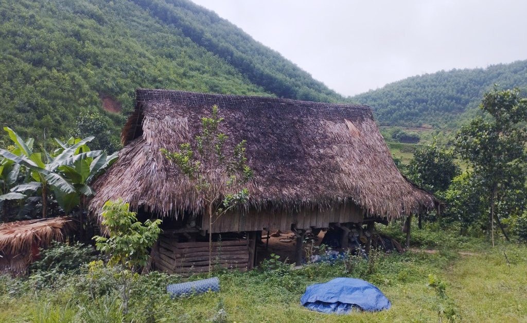 Nghệ An: Dựng lán giữa rừng để mua bán ma túy -0