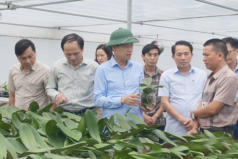 Phó Chủ tịch Thường trực UBND tỉnh Nguyễn Hồng Lĩnh cùng đoàn lãnh đạo một số sở, ngành kiểm tra mô hình trồng lan hồ điệp ứng dụng công nghệ cao ở xã Thạch Khê, huyện Thạch Hà Ảnh: Báo Hà Tĩnh