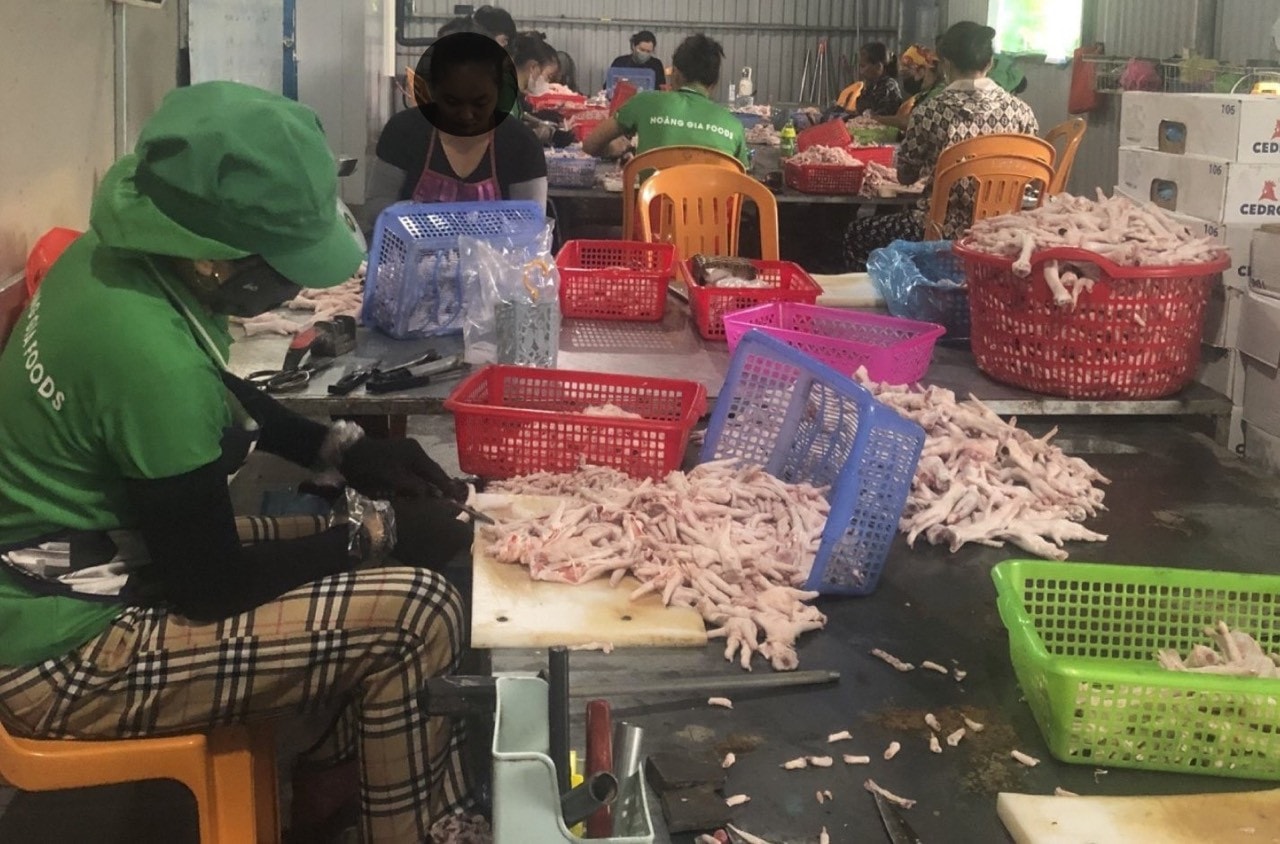 Quảng Bình: Phát hiện 3 tấn gà đông lạnh không rõ nguồn gốc tại xưởng sơ chế thực phẩm -0