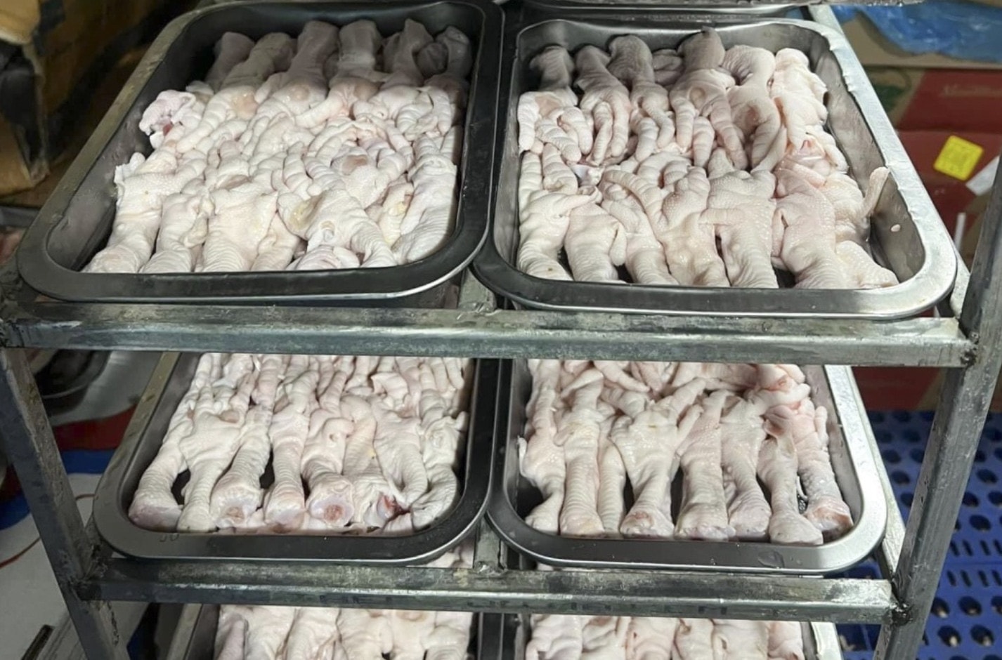 Quảng Bình: Phát hiện 3 tấn gà đông lạnh không rõ nguồn gốc tại xưởng sơ chế thực phẩm -0