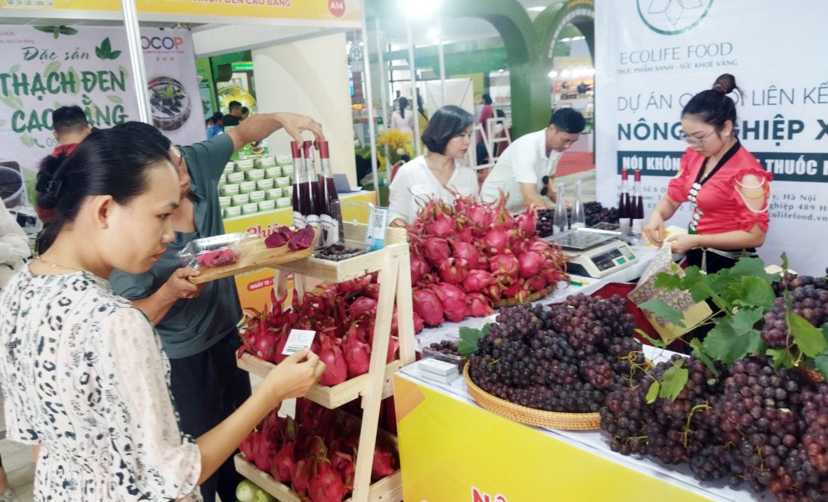 Quảng bá sản phẩm nông sản chất lượng tới người tiêu dùng thủ đô -0