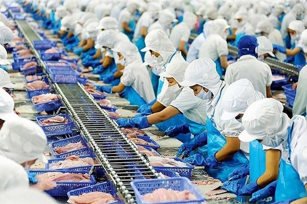 Xuất khẩu thủy sản Việt Nam vẫn hướng đến mục tiêu 10 tỷ USD trong năm 2024. Nguồn: ITN