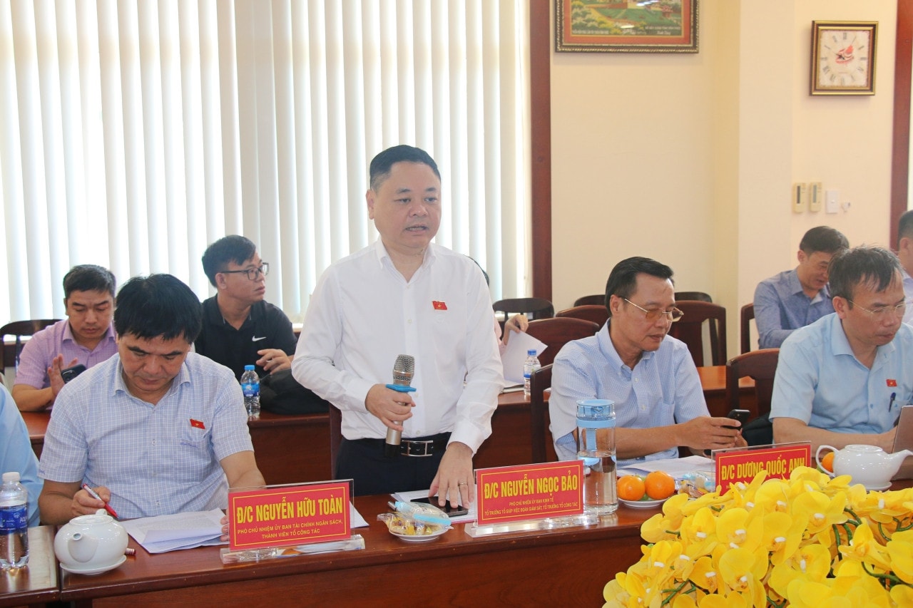 Phó Chủ nhiệm Ủy ban Kinh tế Nguyễn Ngọc Bảo phát biểu tại cuộc làm việc Đoàn giám sát của Quốc hội về quản lý thị trường bất động sản và phát triển nhà ở xã hội khảo sát tại Đồng Nai -0