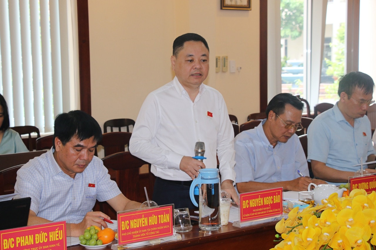 Phó Chủ nhiệm Ủy ban Kinh tế Nguyễn Ngọc Bảo phát biểu tại cuộc làm việc Đoàn giám sát của Quốc hội về quản lý thị trường bất động sản và nhà ở xã hội làm việc với các sở, ngành tỉnh Đồng Nai -0