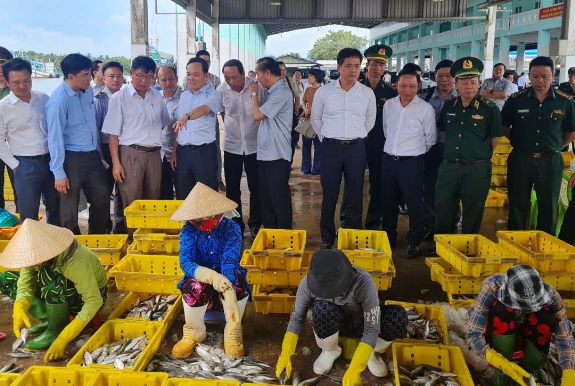 Kiên Giang: Xử nghiêm môi giới đưa tàu cá ra nước ngoài đánh bắt hải sản trái phép