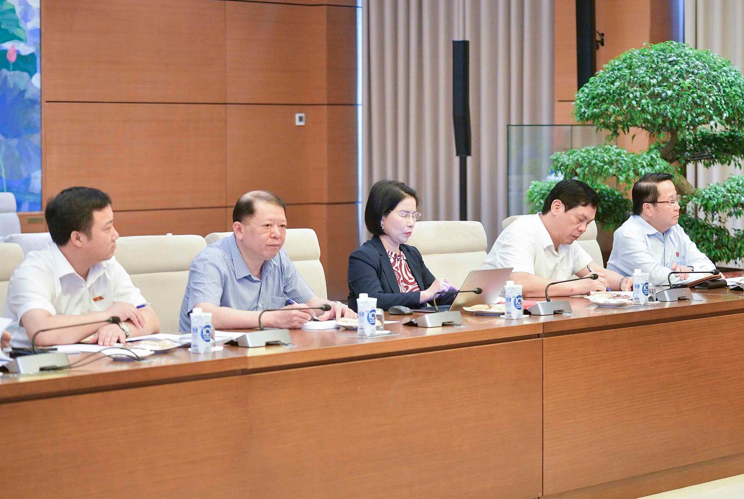các đại biểu tham dự Phiên họp - Ảnh H.Ngọc