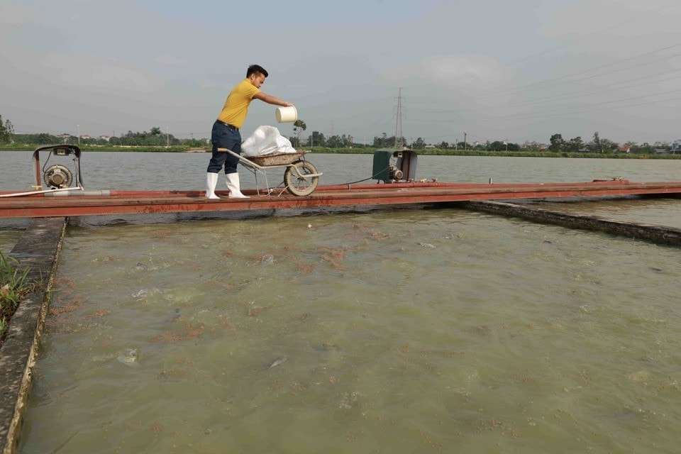 Mô hình nuôi trồng thuỷ sản ứng dụng kỹ thuật 