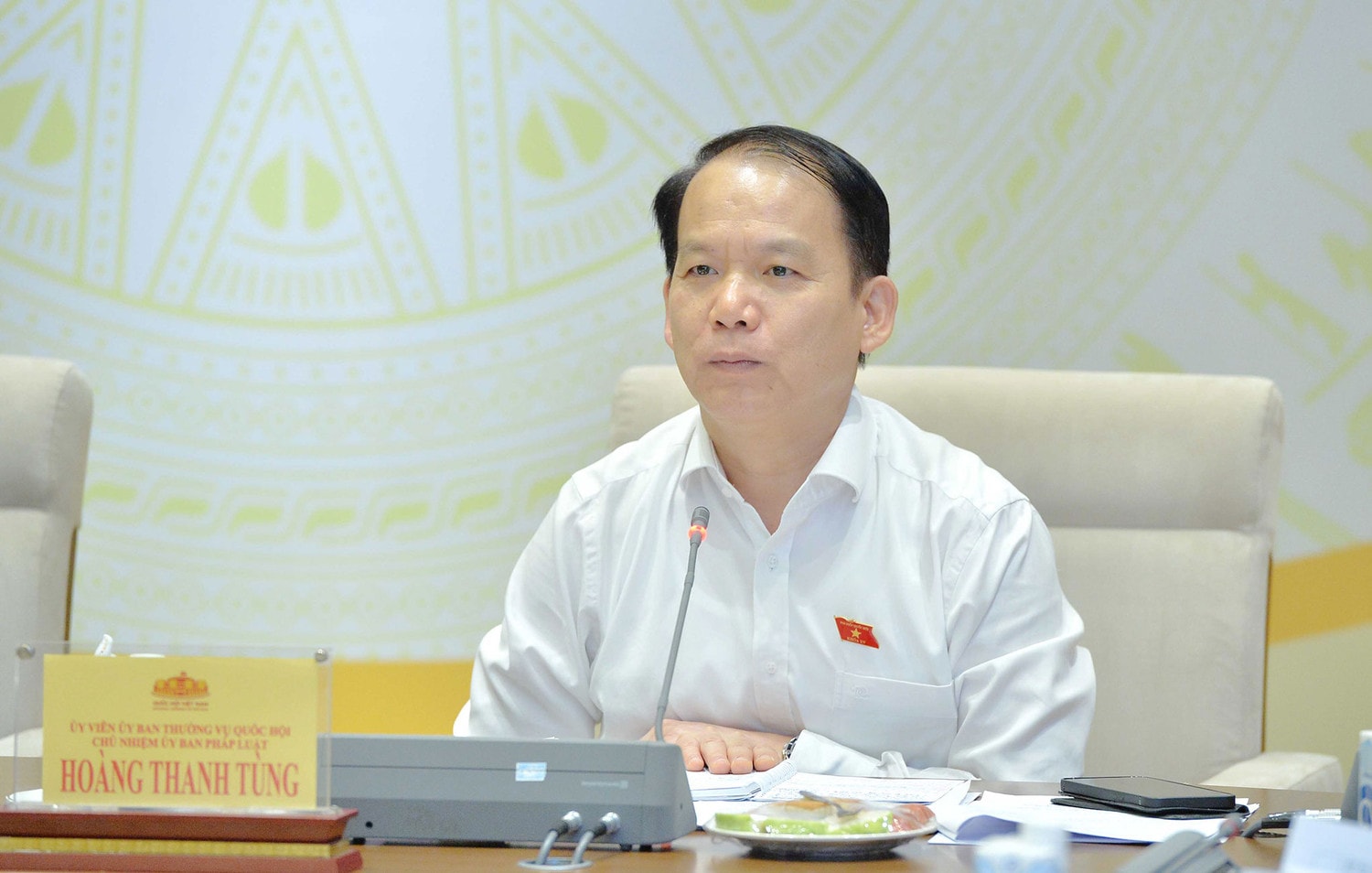 Phó Chủ tịch Quốc hội Nguyễn Khắc Định chủ trì phiên họp của Đoàn giám sát về đơn vị sự nghiệp công lập -0