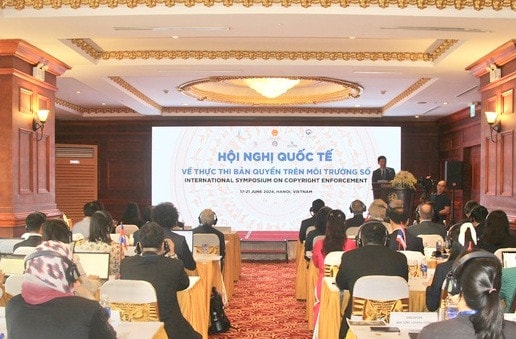 Chia sẻ kinh nghiệm quốc tế về thực thi bản quyền trên môi trường số -0