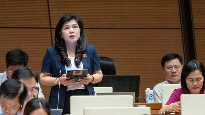 Phó trưởng Đoàn chuyên trách Đoàn ĐBQH tỉnh Nguyễn Thị Thu Hà phát biểu thảo luận về Dự án Luật Tổ chức Tòa án nhân dân (sửa đổi) - ảnh: L. Hiển