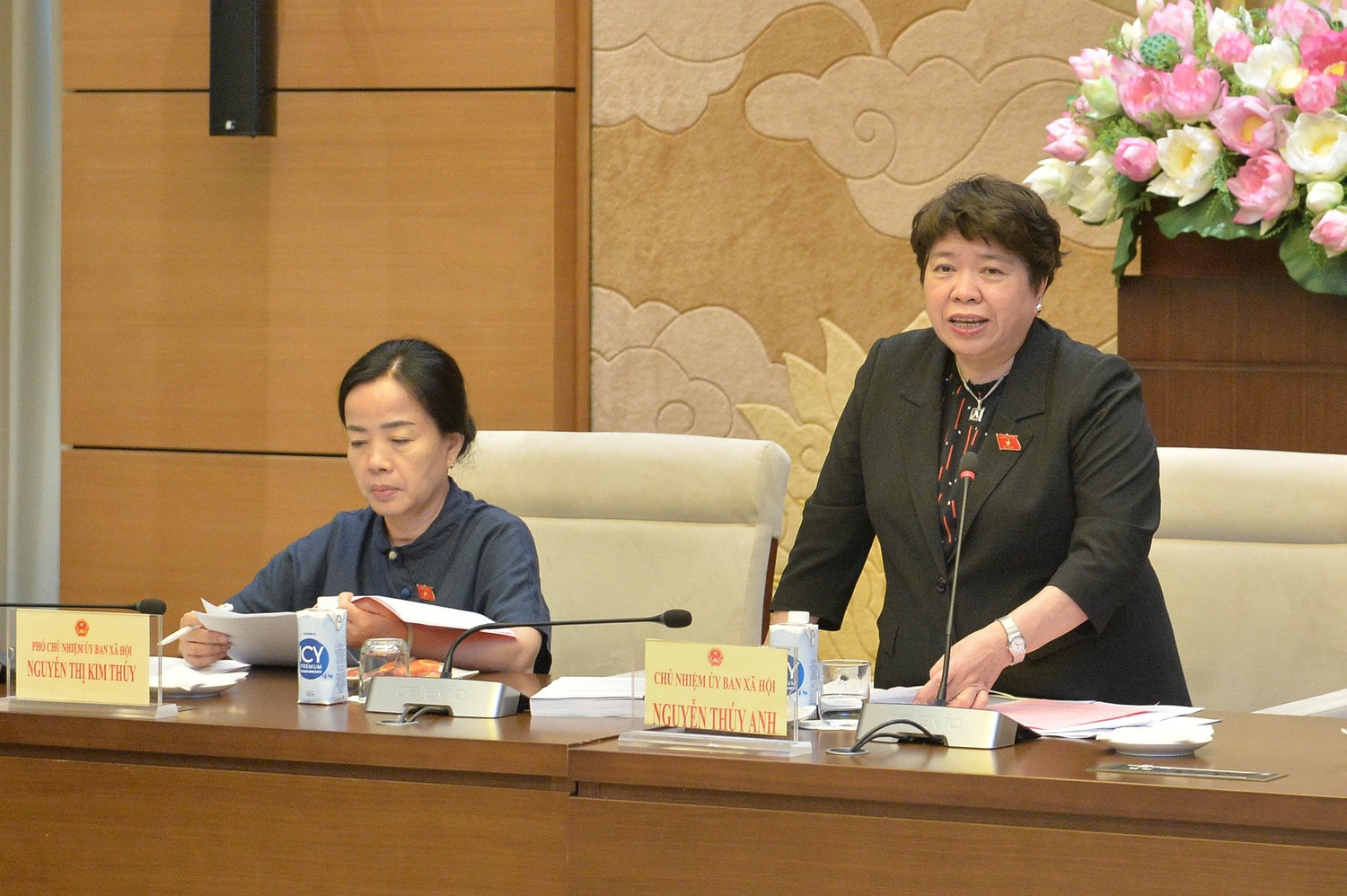 Chủ nhiệm Ủy ban Xã hội Nguyễn Thúy Anh phát biểu