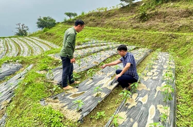 Bài 2: Công cuộc xoá đói, giảm nghèo bền vững -0