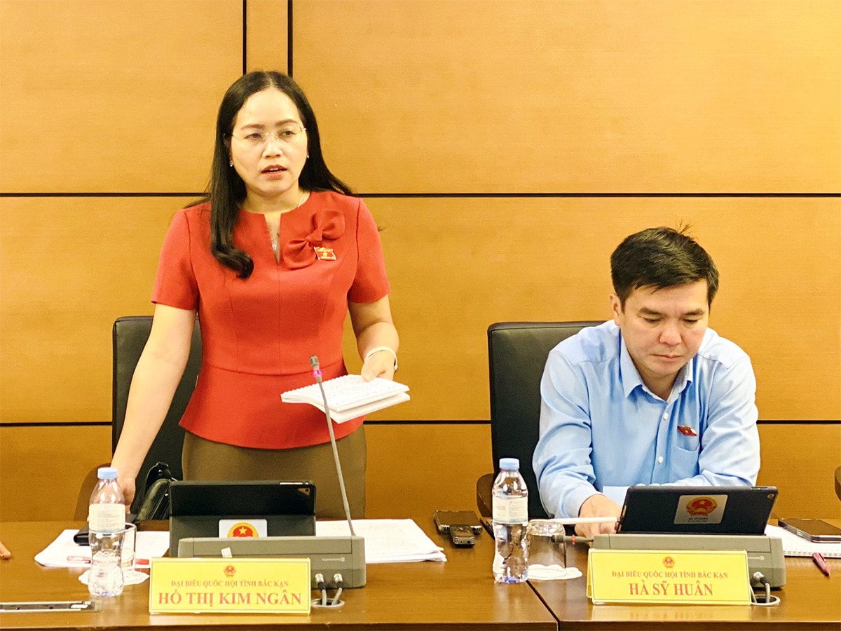 Có định hướng phát triển cây dược liệu -0