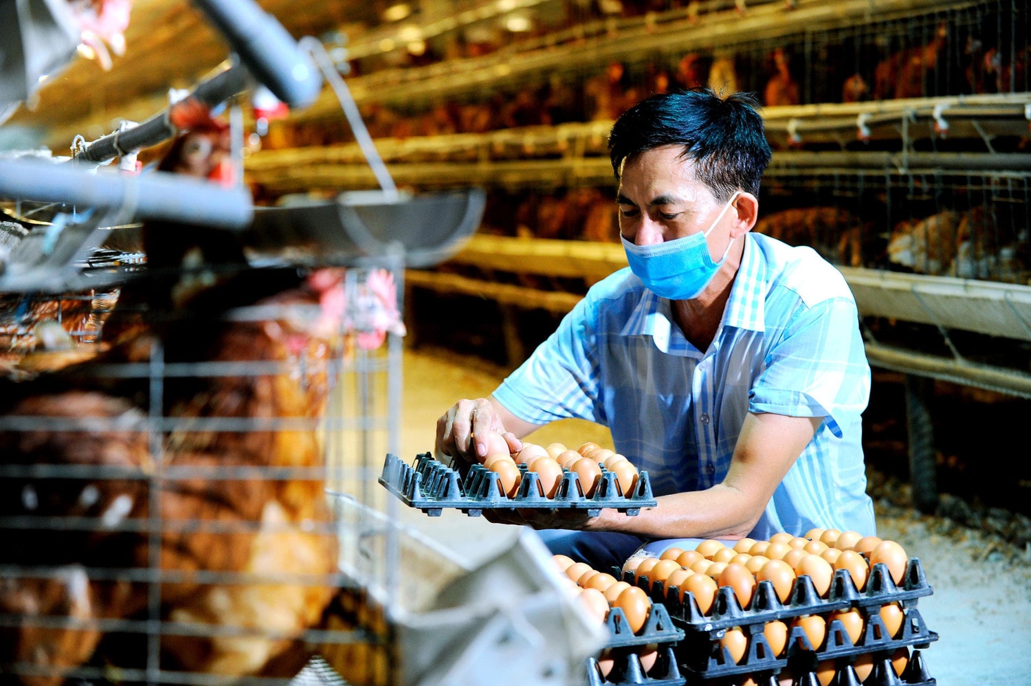 Chủ tịch UBND tỉnh Hải Dương Triệu Thế Hùng:Hải Dương tăng trưởng kinh tế gắn với bảo đảm an sinh xã hội -0