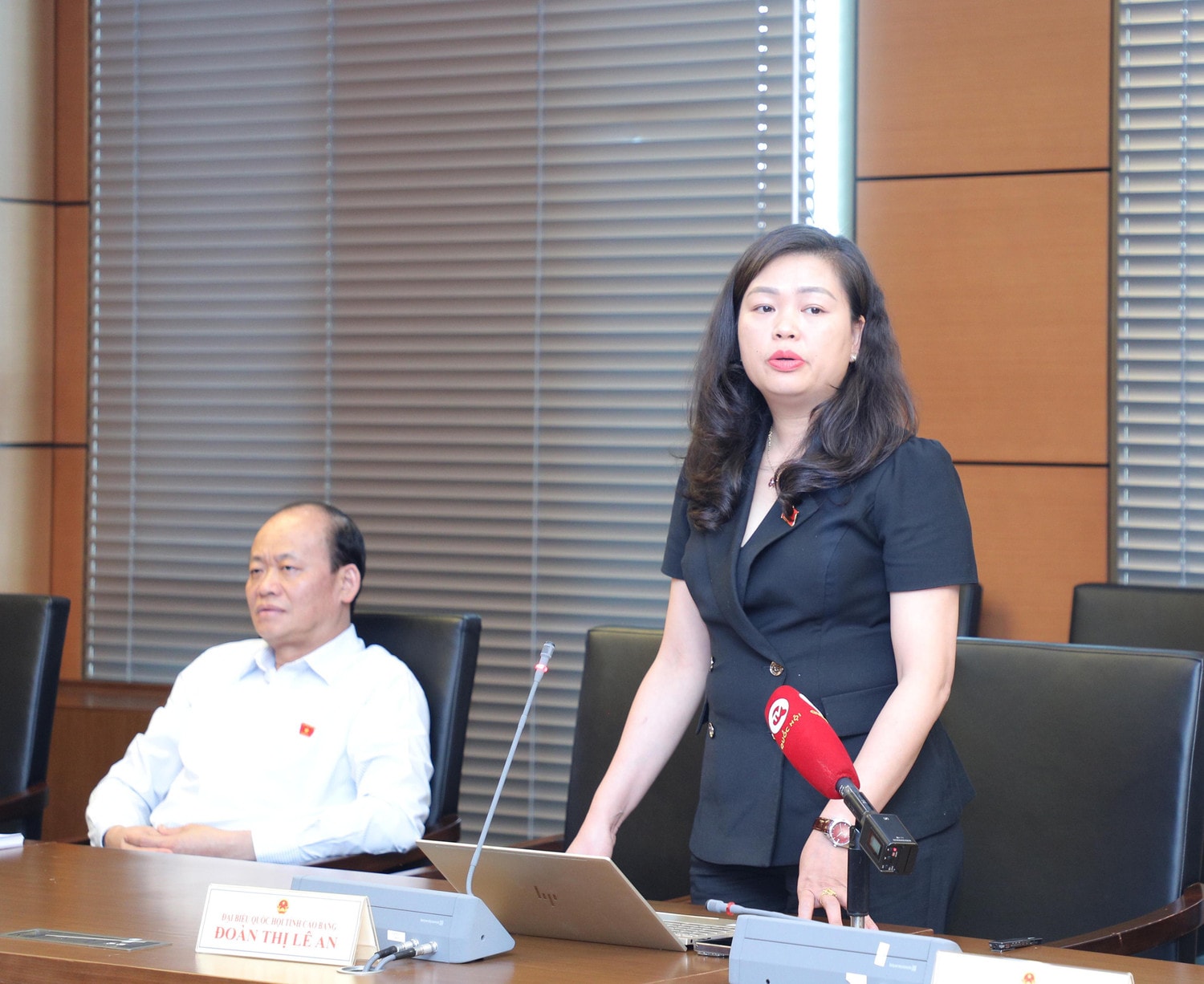 ĐBQH Đoàn Thị Lê An (Cao Bằng) phát biểu. Ảnh: Khánh Duy Tăng cường thanh tra, kiểm tra hoạt động kinh doanh dược