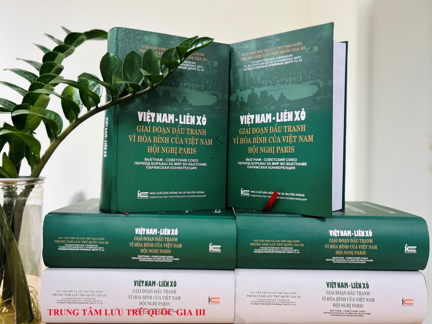 Việt Nam - Liên Xô: Giai đoạn đấu tranh vì hòa bình của Việt Nam -1