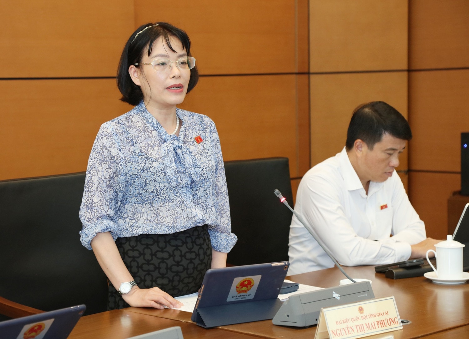 ĐBQH Nguyễn Thị Mai Phương (Gia Lai) phát biểu. Ảnh: An Nhiên Đánh giá kỹ lưỡng, tránh chồng chéo giữa các Luật -0