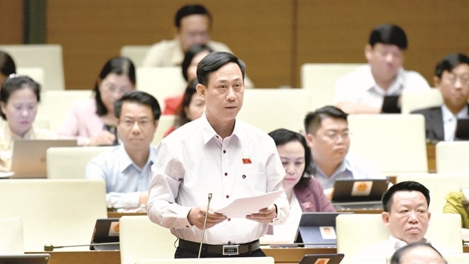 ĐBQH Mai Văn Hải (Thanh Hóa)