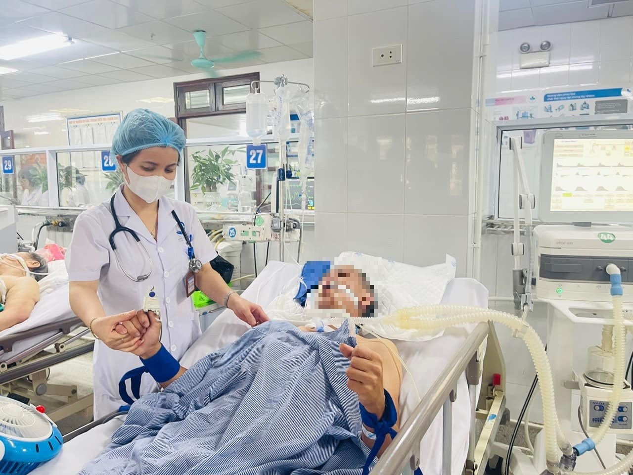 Bị rắn cạp nia cắn khi đang ngủ, 2 bệnh nhân suýt mất mạng -0