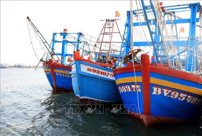 A raft of solutions have been put in place in Kien Giang province to fight illegal fishing. (Photo: VNA) Kien Giang pushing back illegal fishing -0