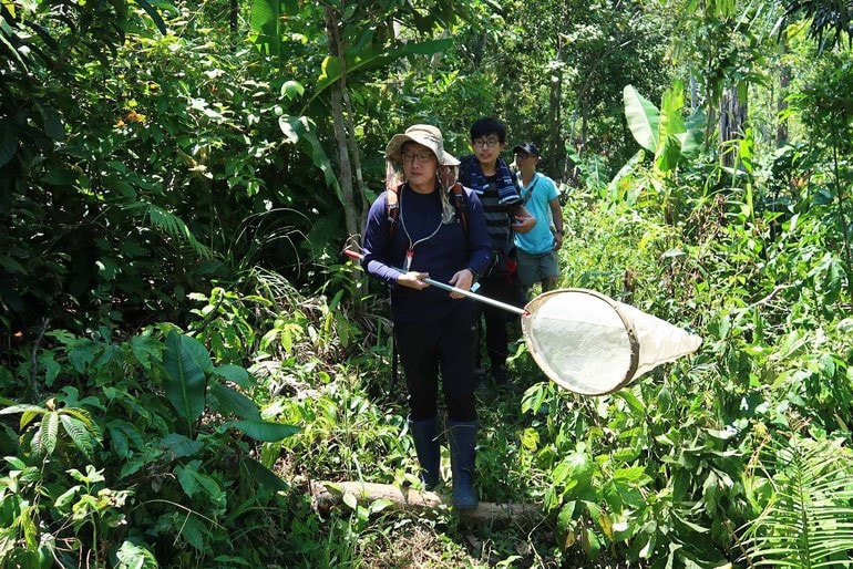 Bảo tồn đa dạng sinh học cần có những định hướng cụ thể -0