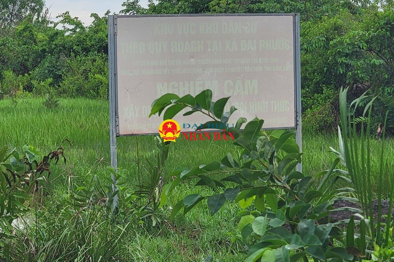 Đồng Nai: Vì sao Sở Xây dựng tạm kết thúc việc giải quyết hồ sơ phân lô bán nền tại 2 dự án bất động sản ở huyện Long Thành và Nhơn Trạch? -0