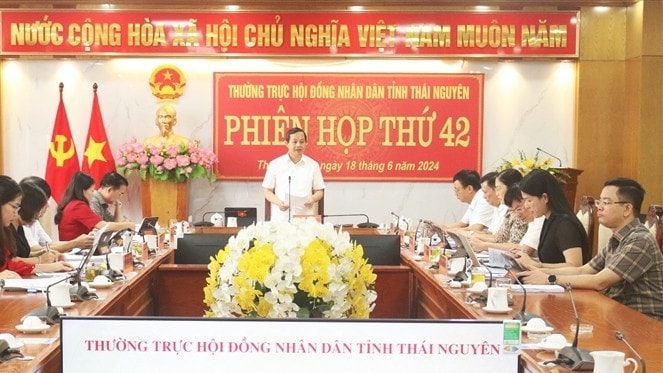  Phó Bí thư Thường trực Tỉnh ủy, Chủ tịch HĐND tỉnh Phạm Hoàng Sơn phát biểu chỉ đạo tại Phiên họp thứ 42 của Thường trực HĐND tỉnh - ẢNH N. HẠNH