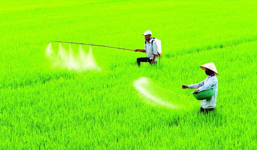Vì một nền nông nghiệp hiệu quả, bền vững -0