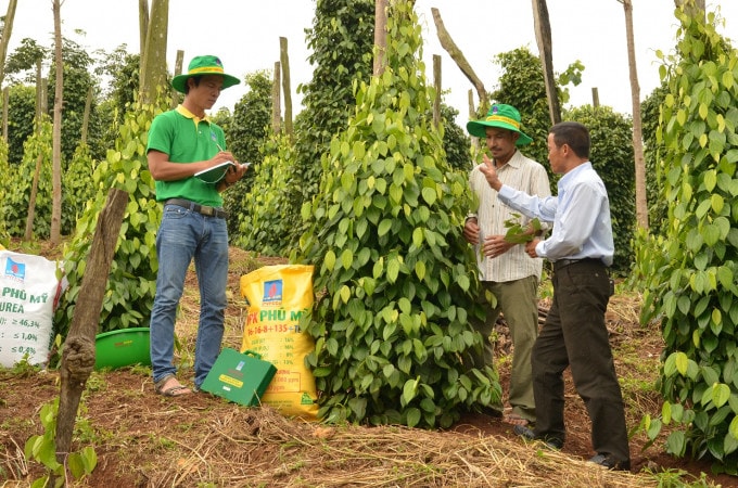 Vì một nền nông nghiệp hiệu quả, bền vững -0