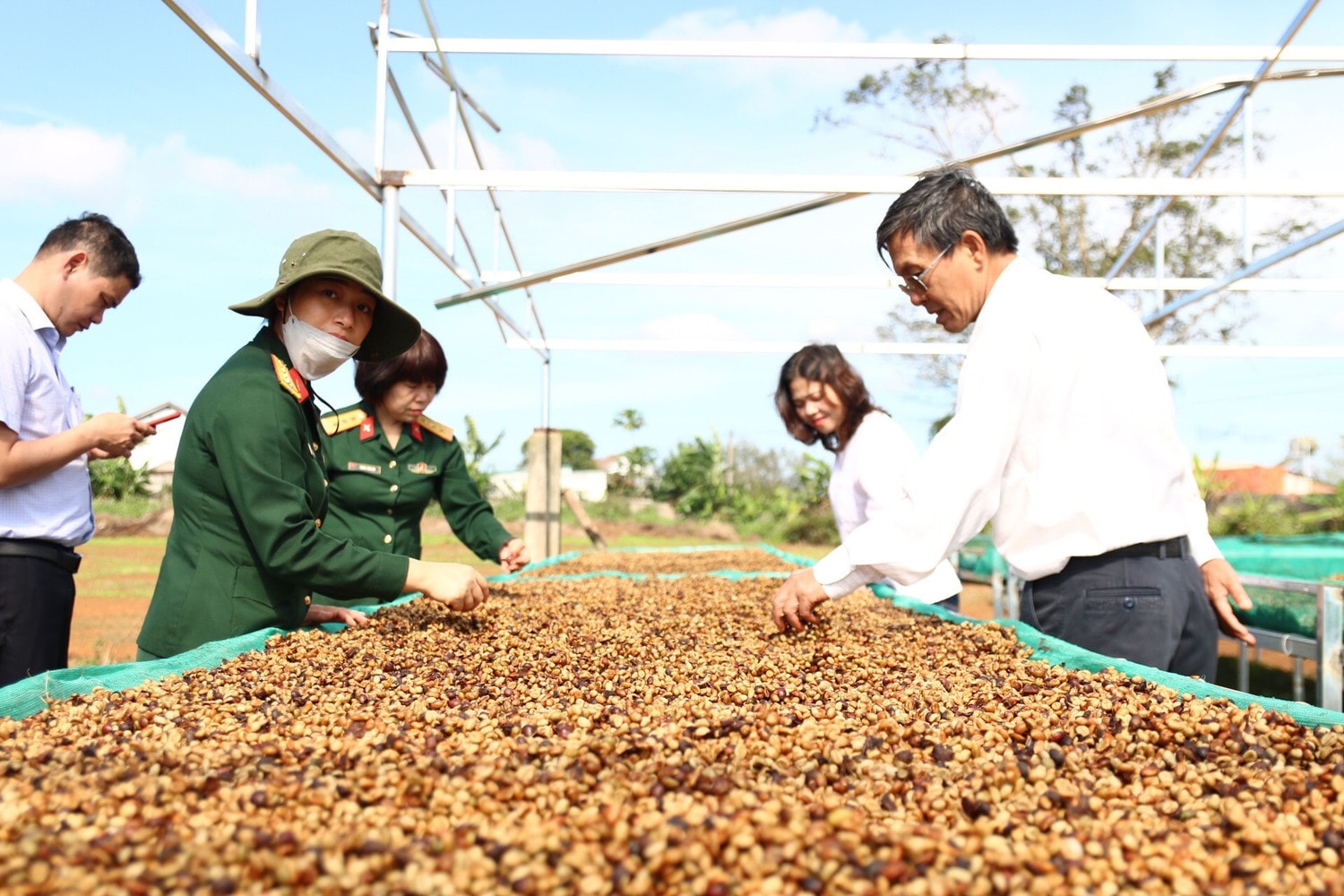 Tỉnh Đắk Lắk đẩy mạnh phát triển sản xuất cà phê đặc sản Ảnh: Kim Bảo