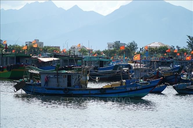 Zero-tolerance policy toward IUU fishing practices: Deputy Minister ảnh 1 Zero-tolerance policy toward IUU fishing practices: Deputy Minister -0