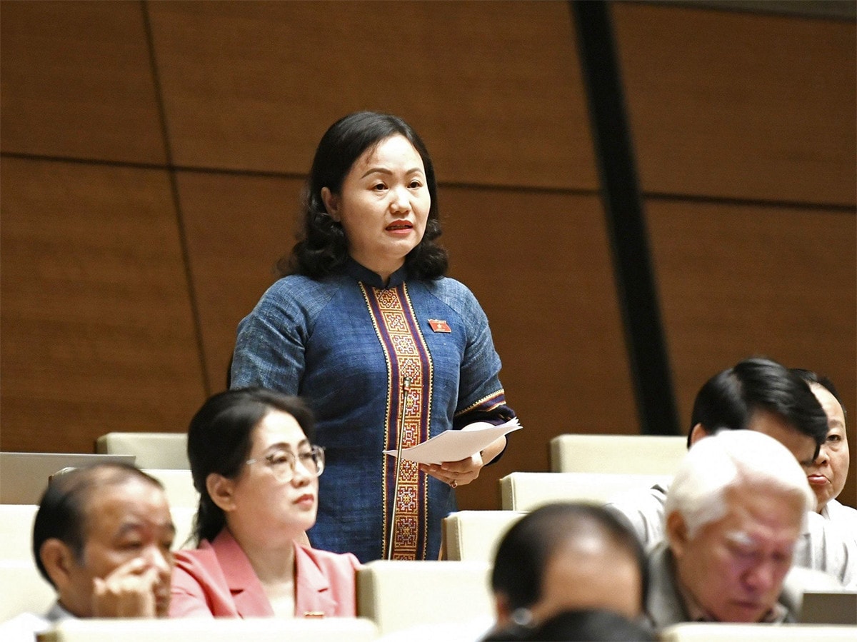 Hoàn thiện quy định về phát triển bền vững -0