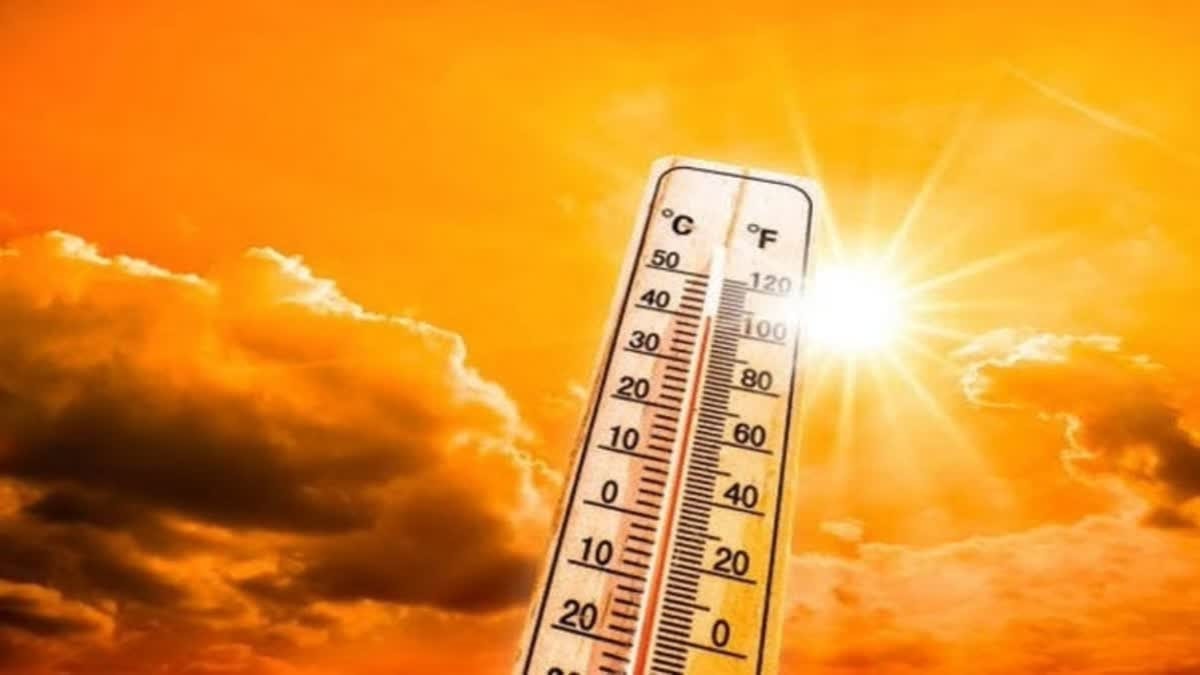 Thế giới đối mặt với tình trạng nắng nóng cực đoan -0