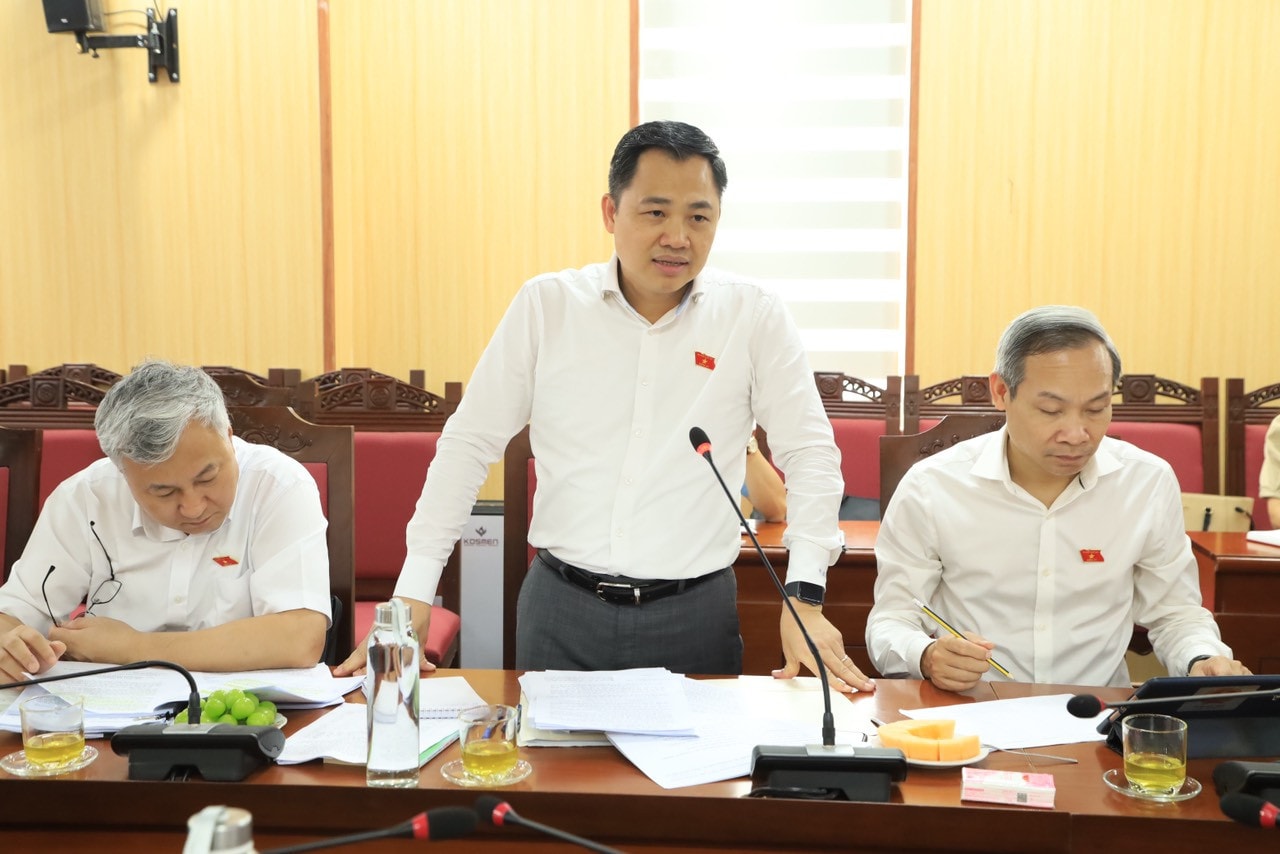 Phó Chủ nhiệm Ủy ban Kinh tế Nguyễn Đình Việt - Tổ trưởng Tổ công tác phát biểu tại cuộc làm việc Khảo sát dự án, làm việc tại huyện Mê Linh về quản lý thị trường bất động sản và phát triển nhà ở xã hội -0