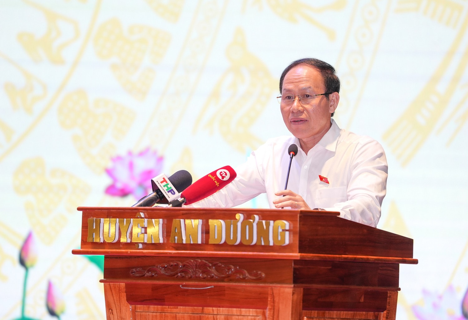 Phó Thủ tướng Chính phủ Trần Lưu Quang cùng Đoàn ĐBQH thành phố Hải Phòng tiếp xúc cử tri huyện An Dương -0