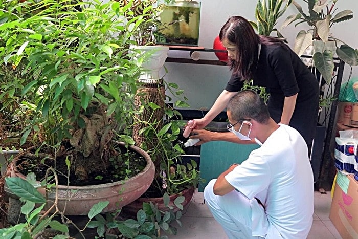 Tuần thứ 5 liên tiếp Hà Nội có số ca mắc sốt xuất huyết tăng -0