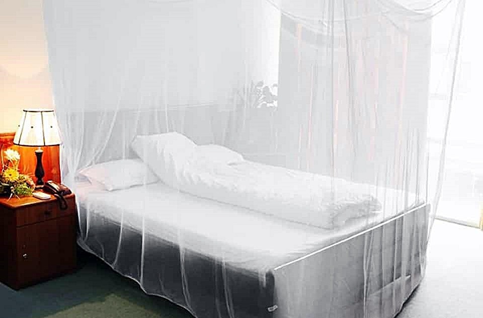 8 cách để người dân đô thị phòng bệnh sốt xuất huyết hiệu quả -0