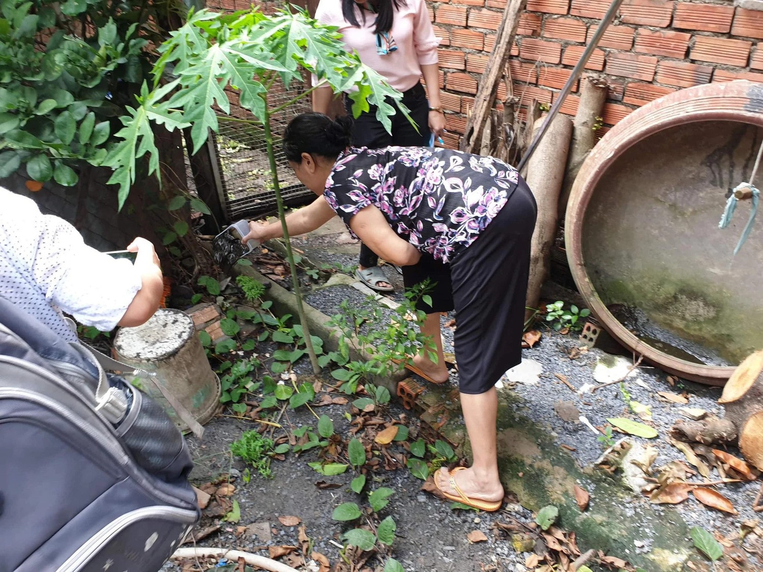 8 cách để người dân đô thị phòng bệnh sốt xuất huyết hiệu quả -0