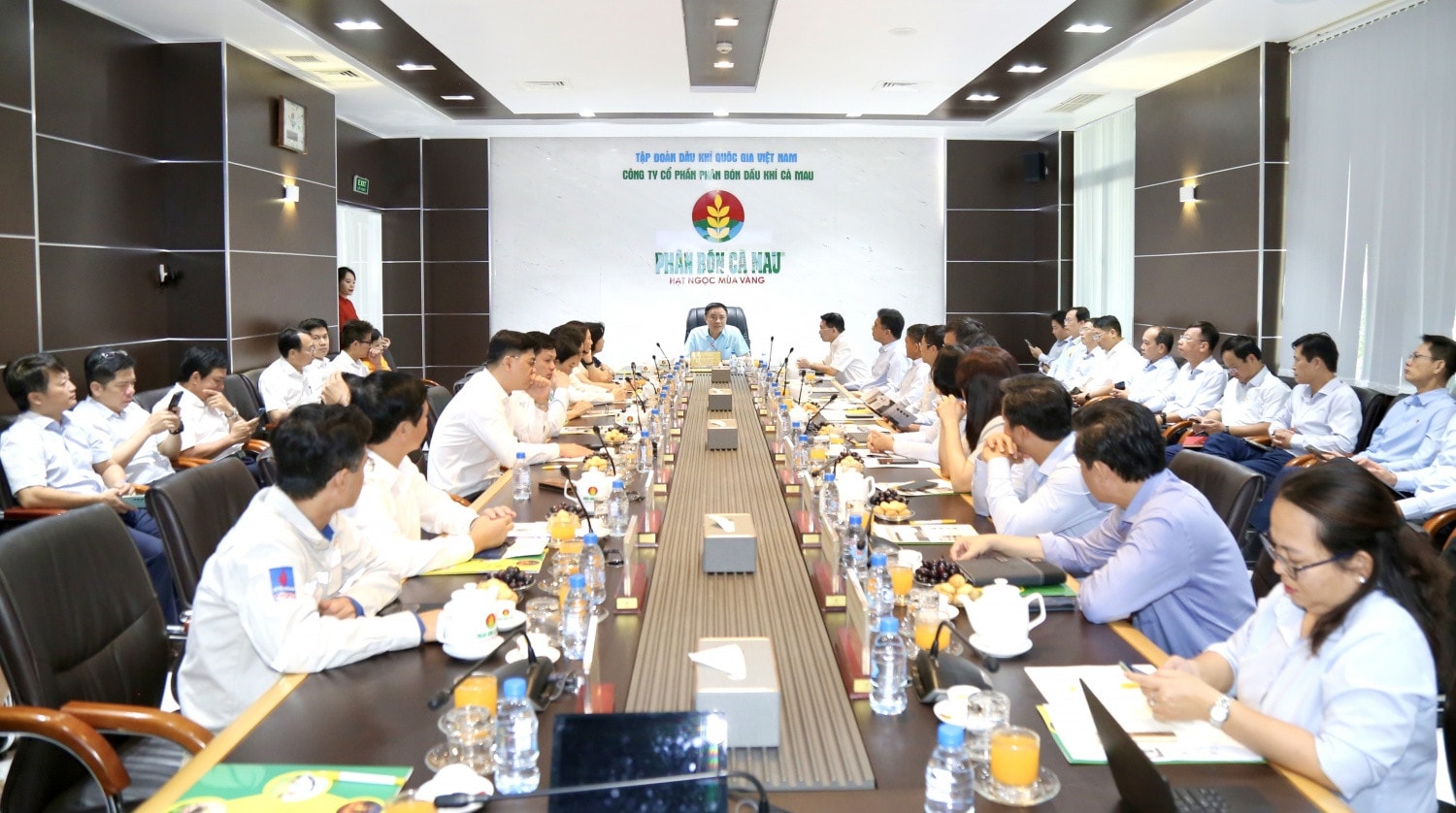 Tổng Giám đốc Petrovietnam Lê Ngọc Sơn làm việc tại Nhà máy Đạm Cà Mau -0