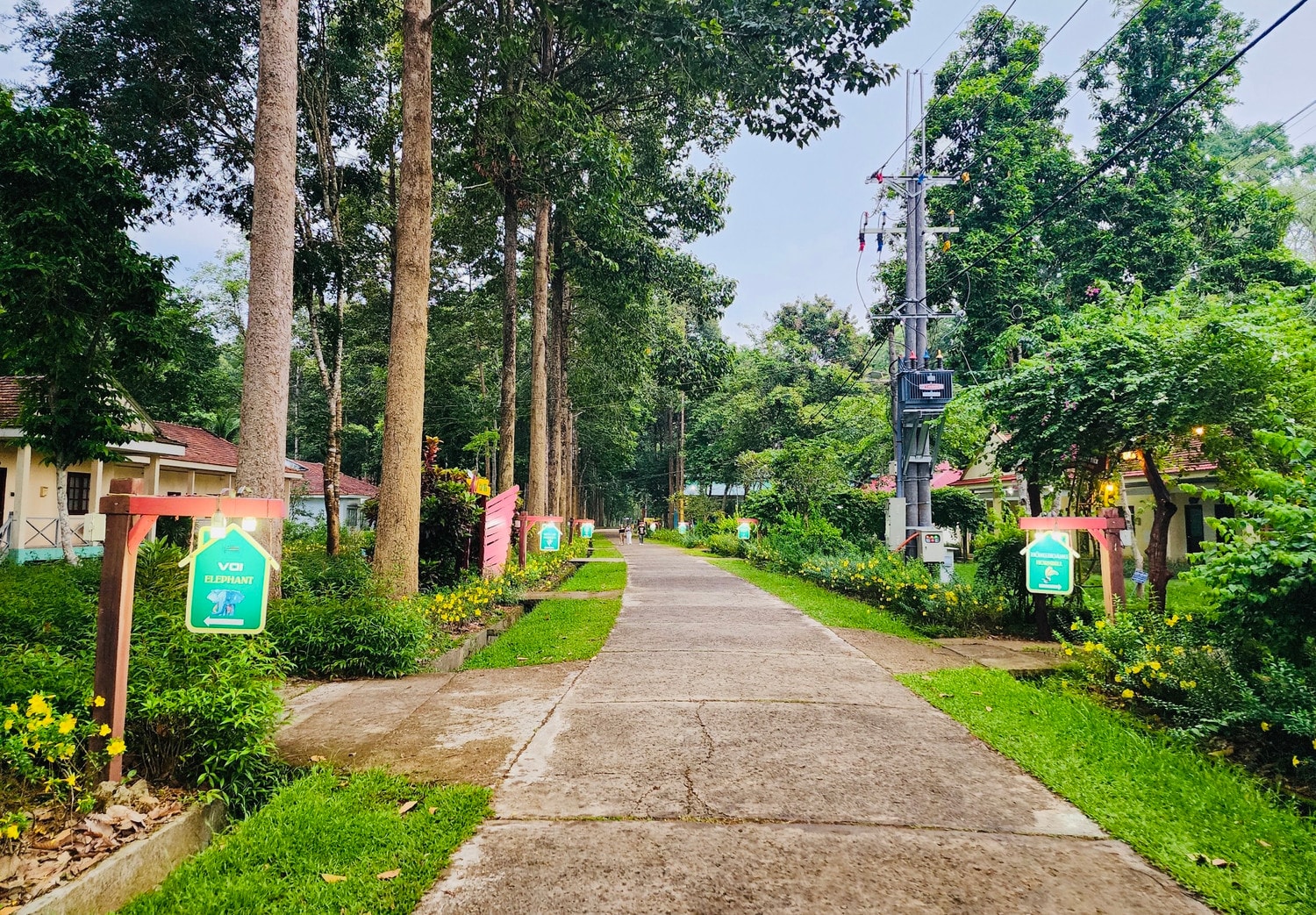 Du lịch không túi nilon, không tiếng động tại Vườn Quốc gia Cát Tiên -0