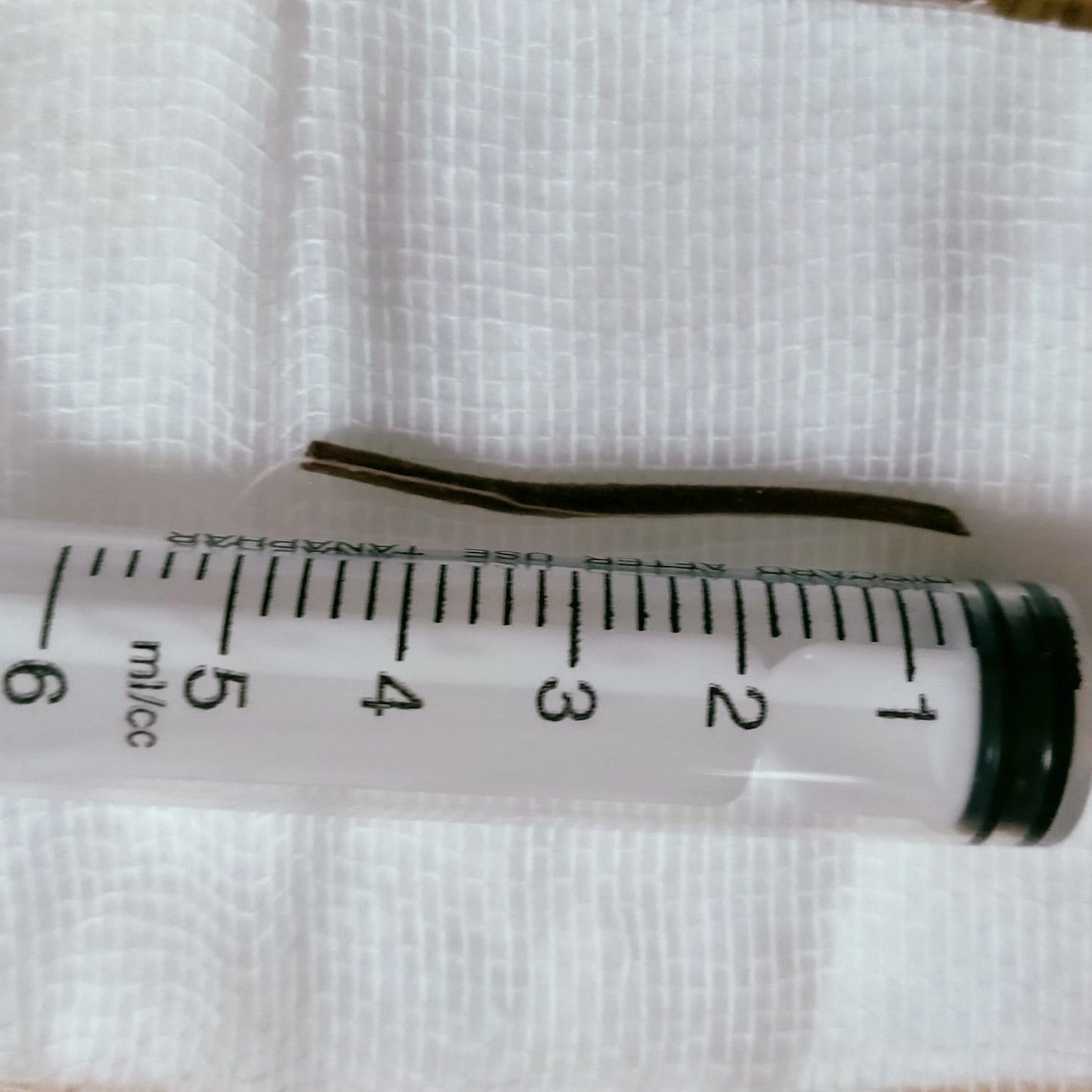 Phát hiện cành cây dài gần 5cm trong họng vì thói quen này -0
