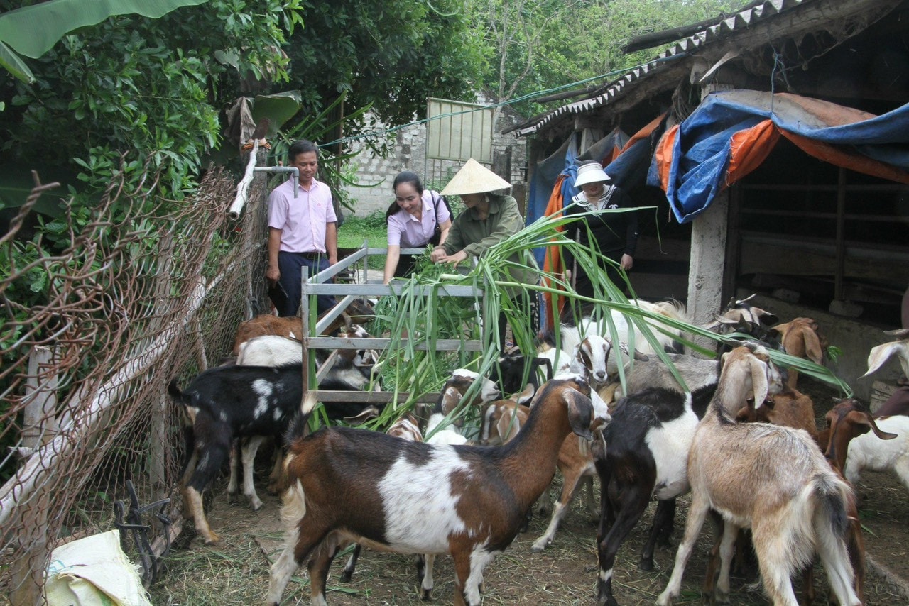 Đổi thay ở Quỳnh Lưu -0