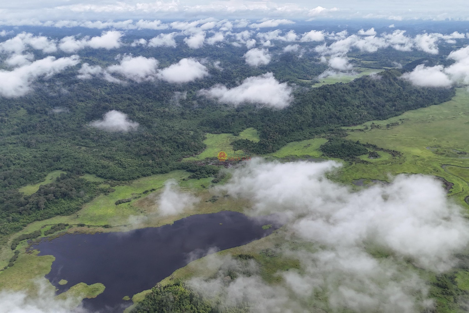 VQG Cát Tiên vừa được Liên minh Bảo tồn Thiên nhiên quốc tế (IUCN) trao danh hiệu Danh lục xanh Ảnh: Thạc Hiếu