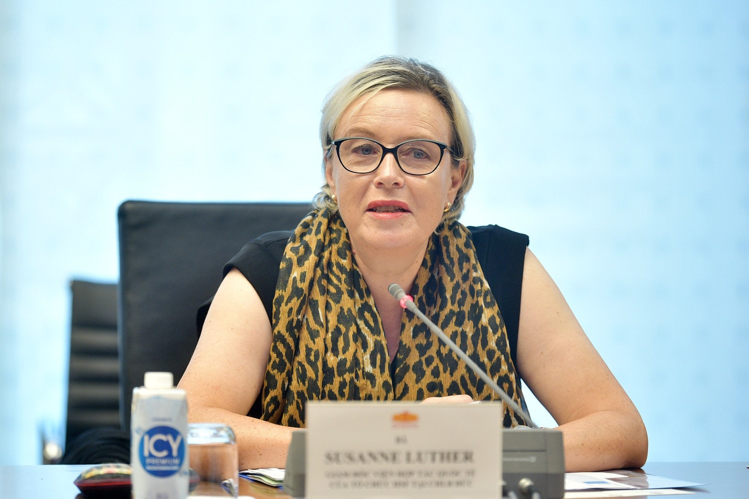Giám đốc Viện hợp tác quốc tế, Tổ chức Hanns Seidel Foundation Susanne Luther phát biểu