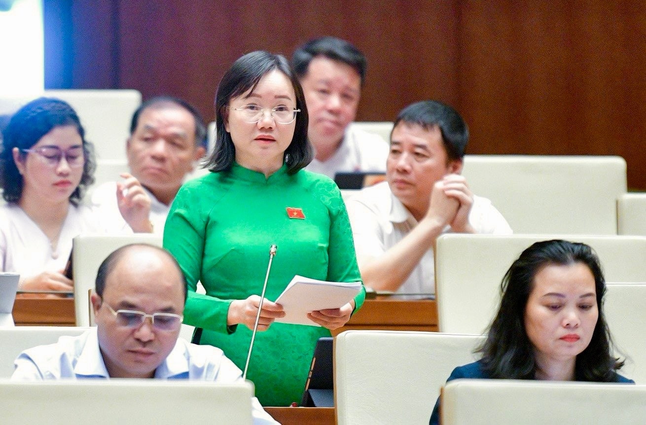 Phát huy cao nhất trách nhiệm của đại biểu dân cử -0