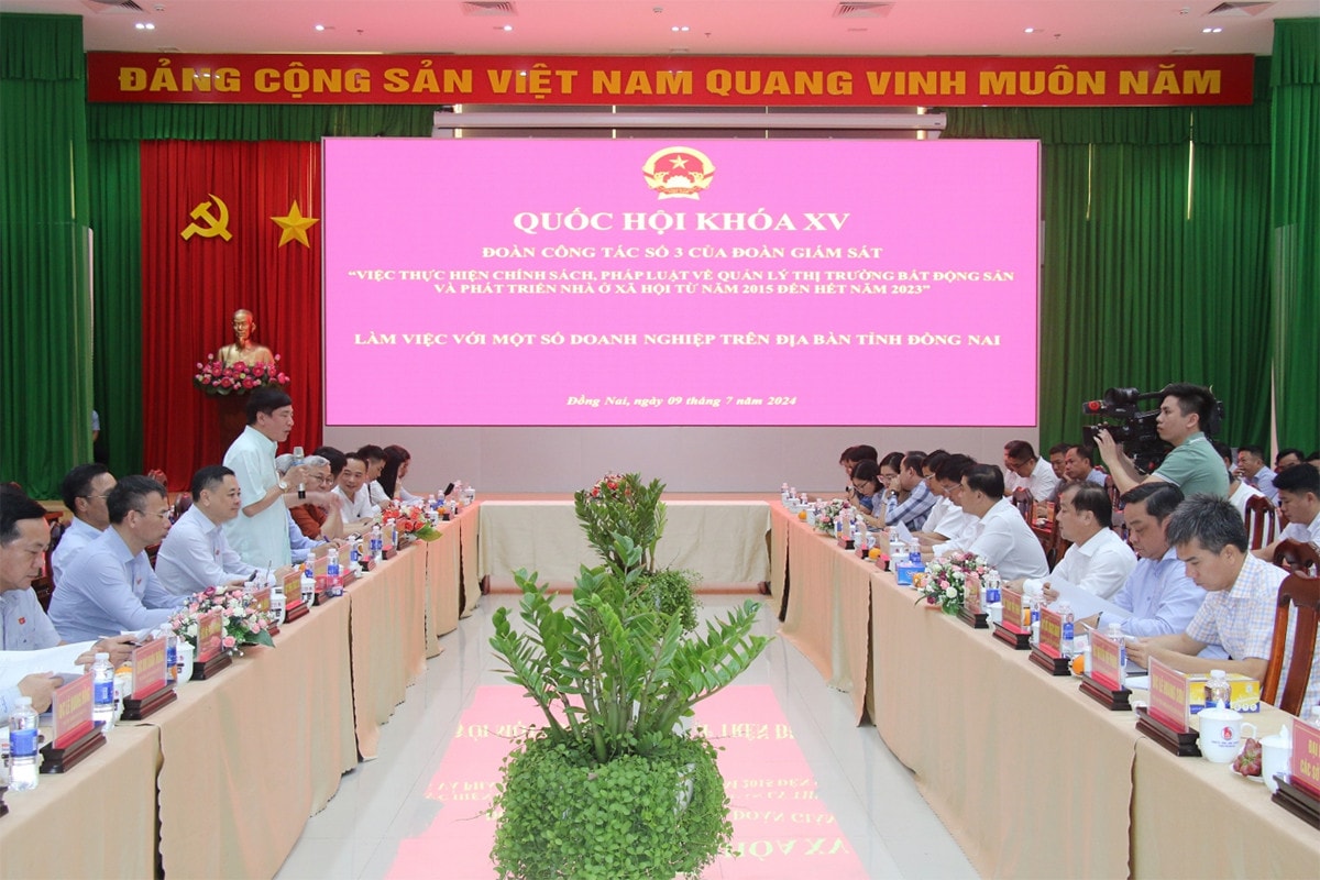 Tổng Thư ký Quốc hội Bùi Văn Cường khảo sát việc thực hiện chính sách, pháp luật về quản lý thị trường bất động sản và nhà ở xã hội tại Đồng Nai -2
