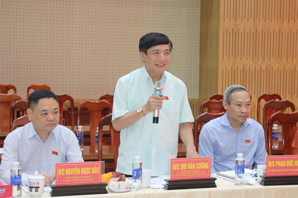 Tổng Thư ký Quốc hội Bùi Văn Cường khảo sát việc thực hiện chính sách, pháp luật về quản lý thị trường bất động sản và nhà ở xã hội tại Đồng Nai -3